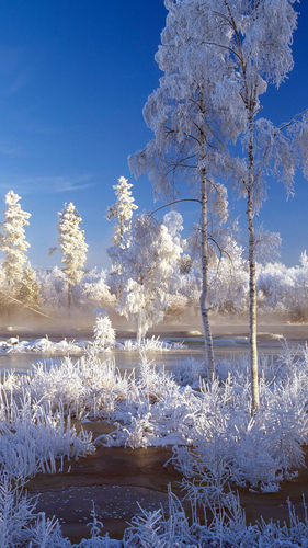Nokia N8 Puters Microsoft Bing Winter Landscape Wallpaper