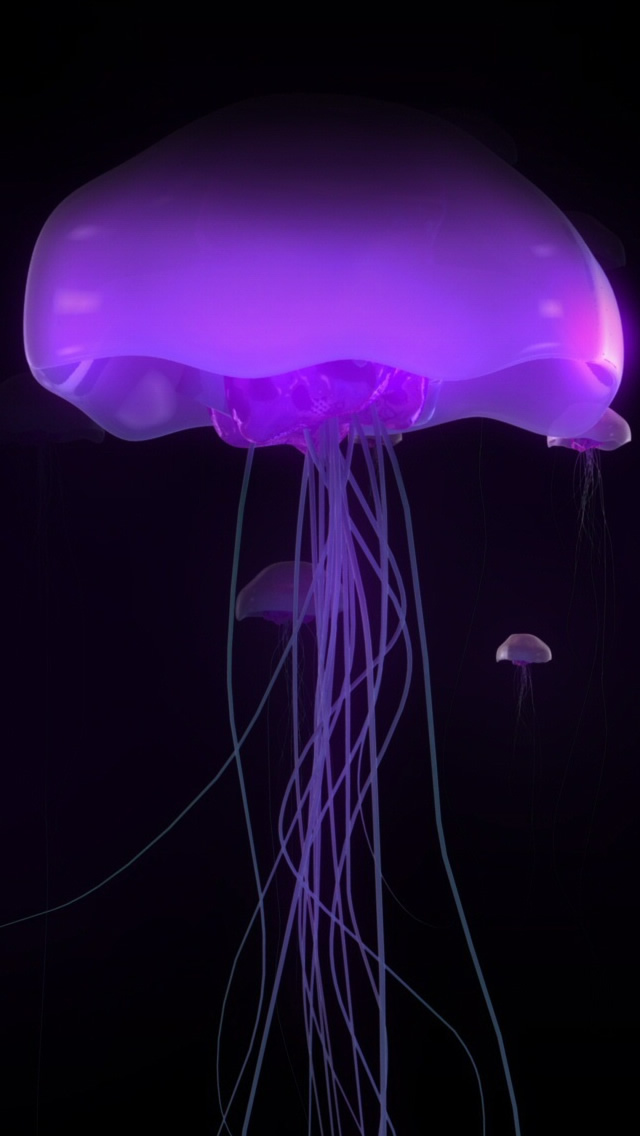 Purple jellyfish cool hd wallpaper for iphone 5 iPhone Wallpapers