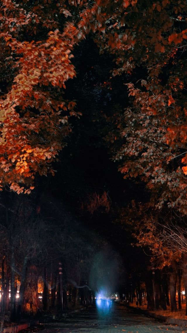 Armenia   autumn night Background hd wallpaper Iphone 5s