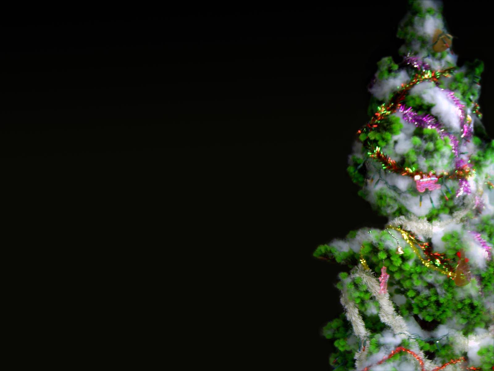 Tree With Black Background Photos Of Best Christmas Theme Wallpaper