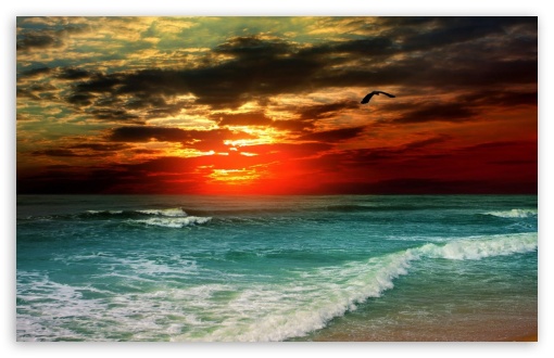 Tropical Sunset HD wallpaper for Standard 43 54 Fullscreen UXGA XGA