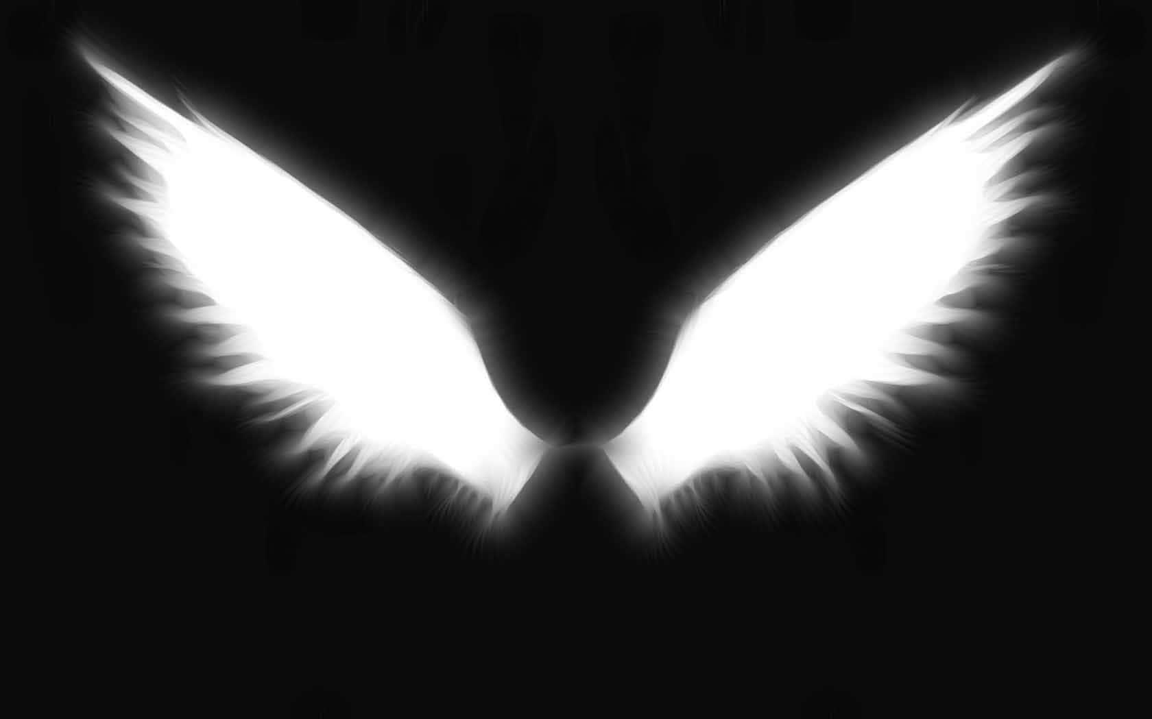 A White Angel Wings On Black Background Wallpaper