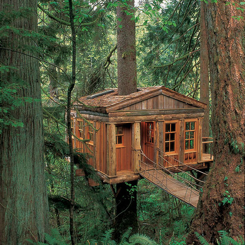 Amazing Tree House Wallpaper Life Insurance Canada
