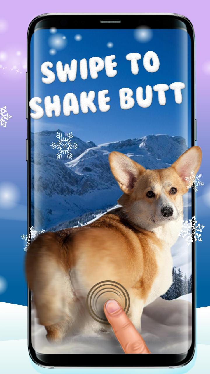 3d Rump Shaking Corgi Dog Theme Live Wallpaper For Android Apk