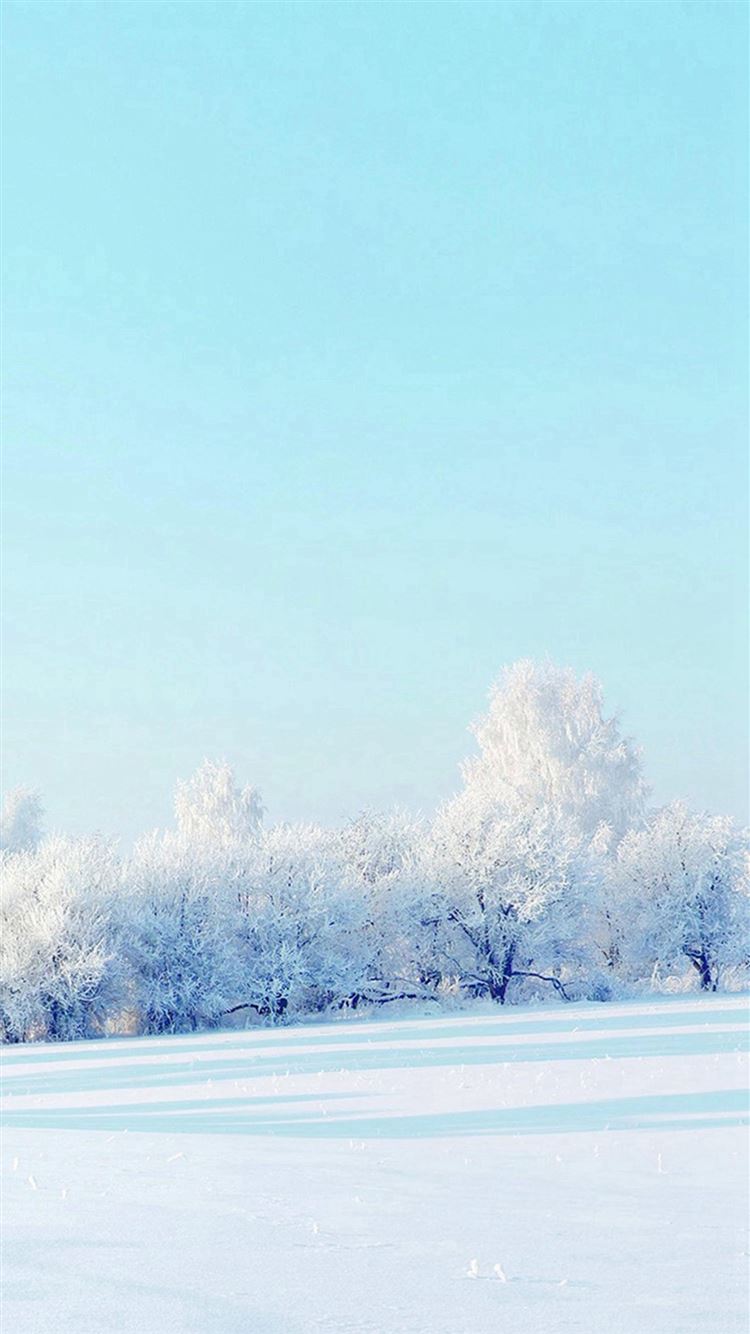Pure Winter Static Snow Field White World iPhone Wallpaper