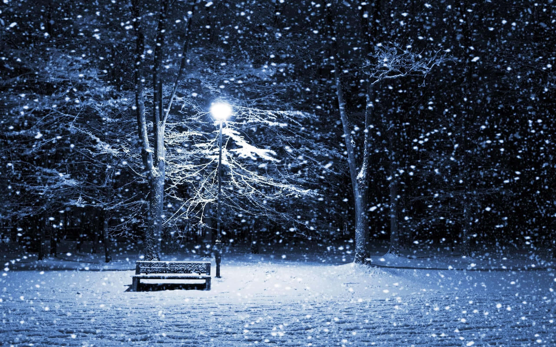 Winter Solstice Wallpaper