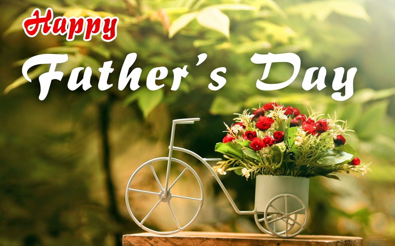 Happy Fathers Day Image Pictures Wallpaper