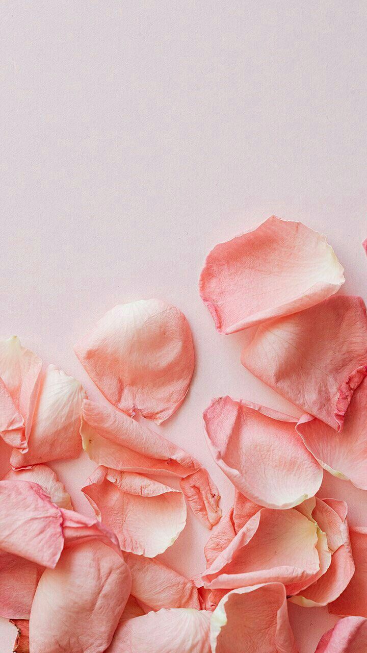 Also A Wallpaper