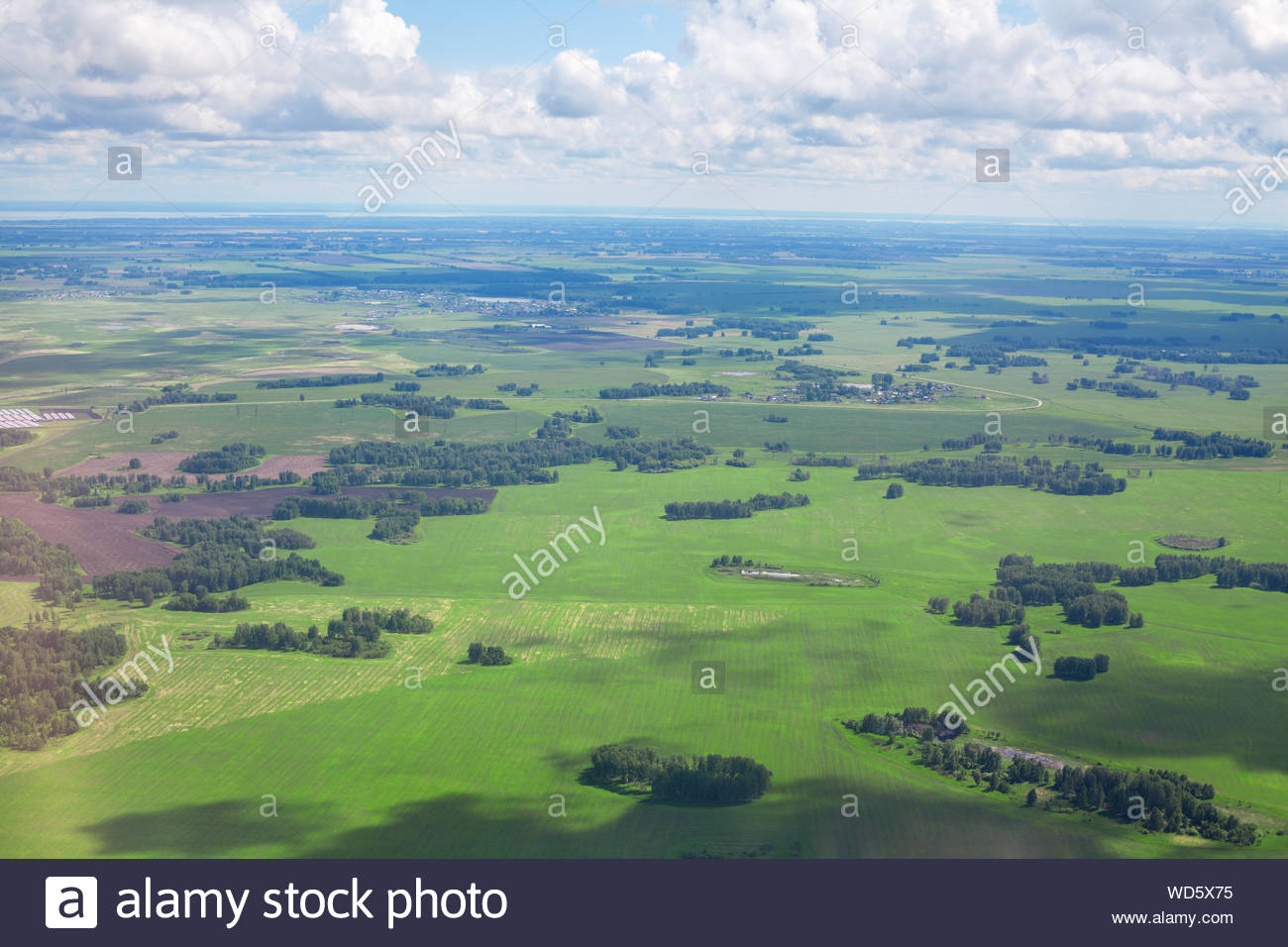 Green Fields And Forests Blue Sky White Clouds Background