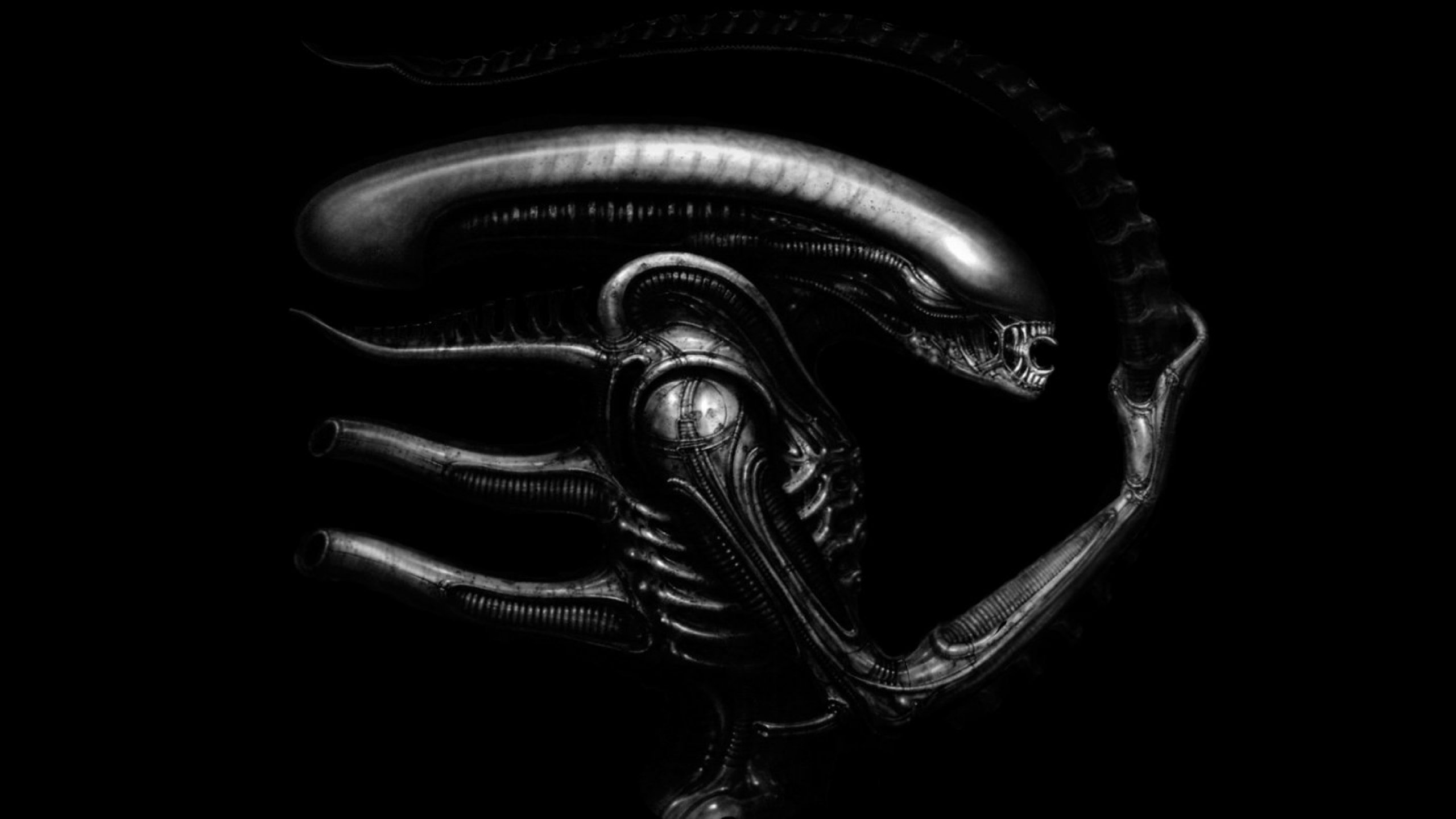 Giger Art Artwork Dark Evil Artistic Horror Fantasy Sci Fi Alien