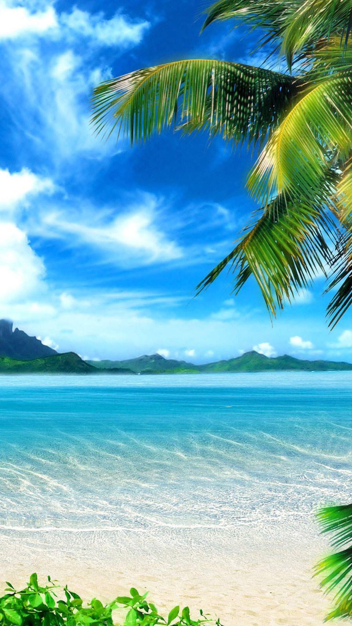 Tropical Beach iPhone Wallpaper