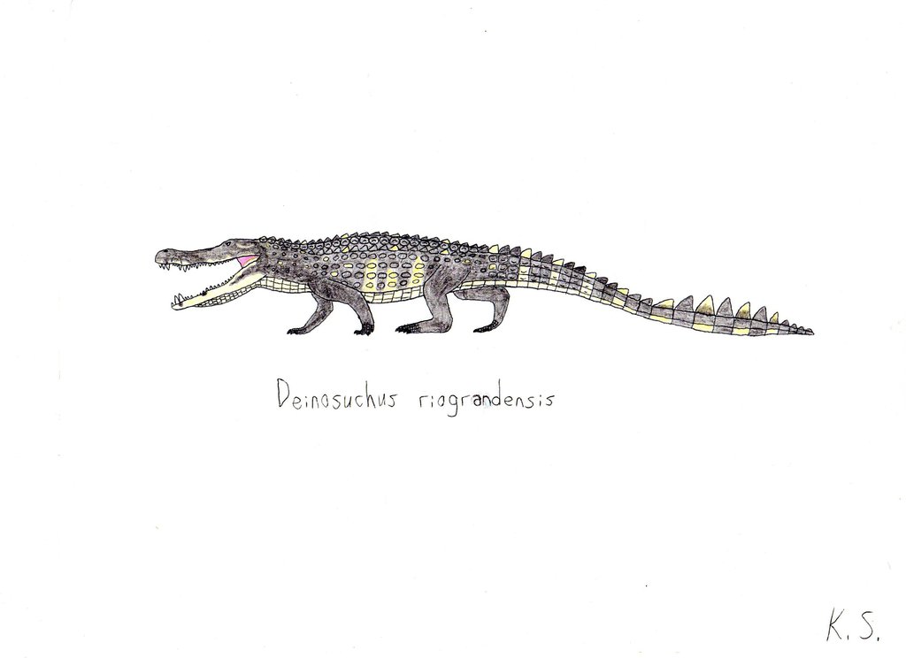 Deinosuchus Riograndensis By Angrydinobirds