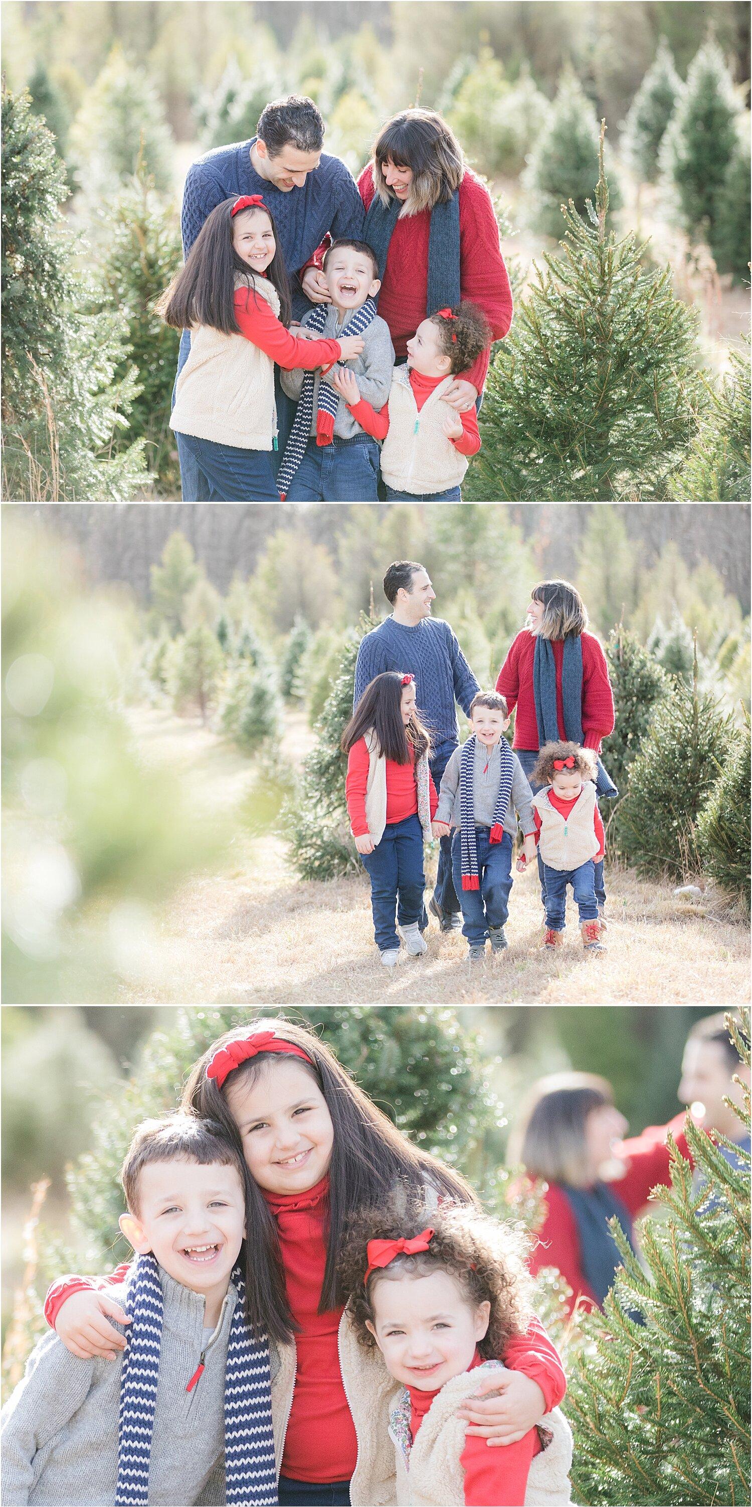 Family Holiday Photos At A Tree Farm In Nj Natural Light