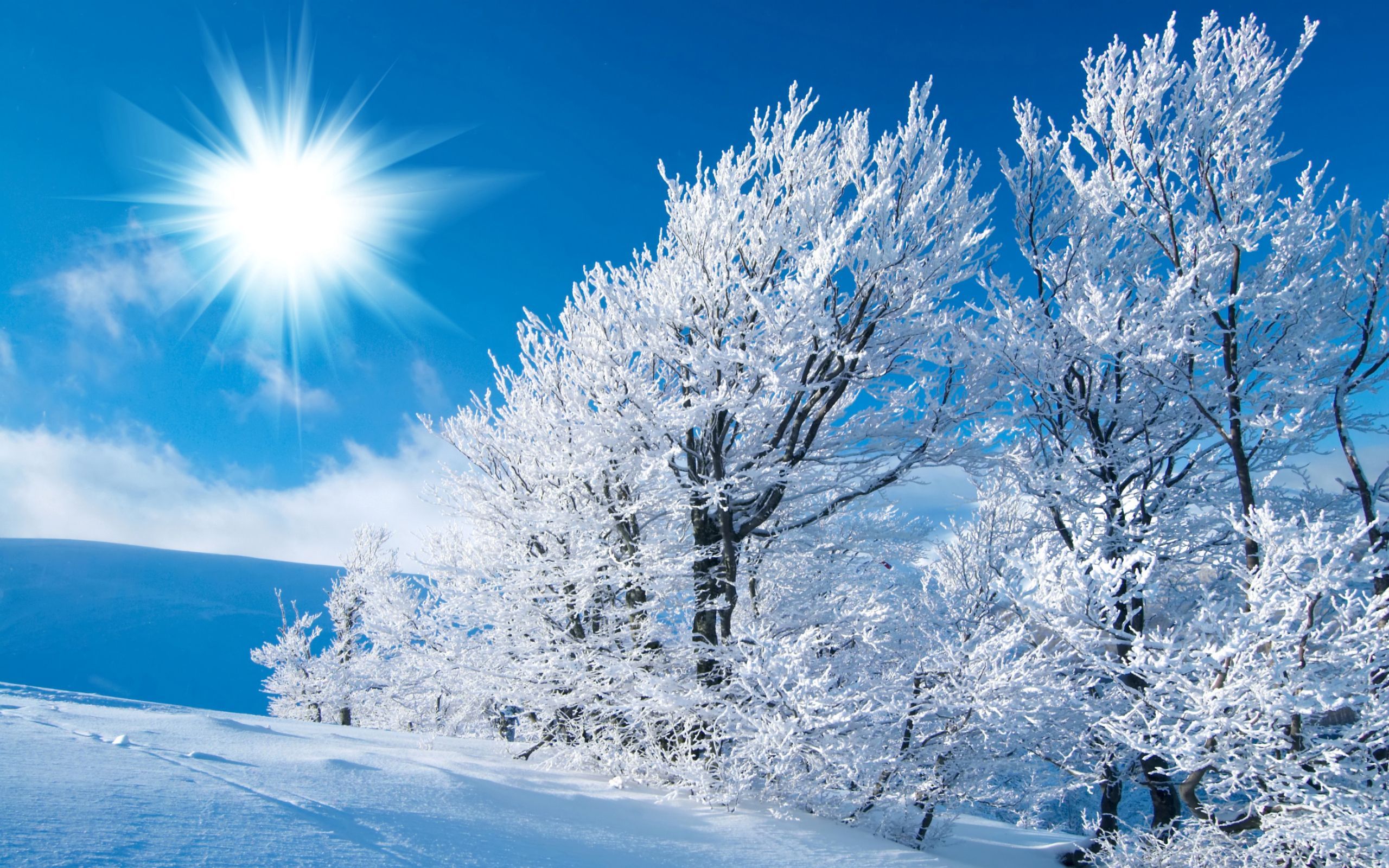 Winter Scenes For Desktop Background Wallpaper