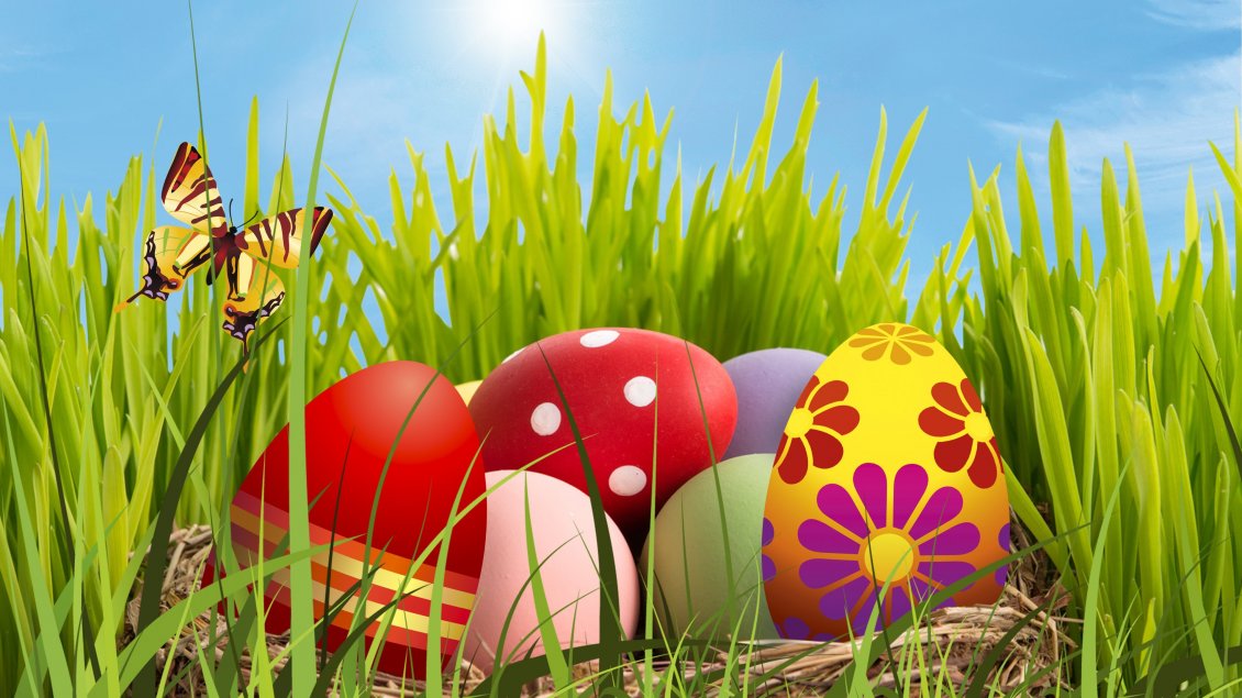 Colourful Easter Eggs In The Grass HD Wallpaper