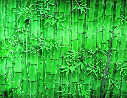 With Bamboo Leaves Print Wallpaper Green Streaked