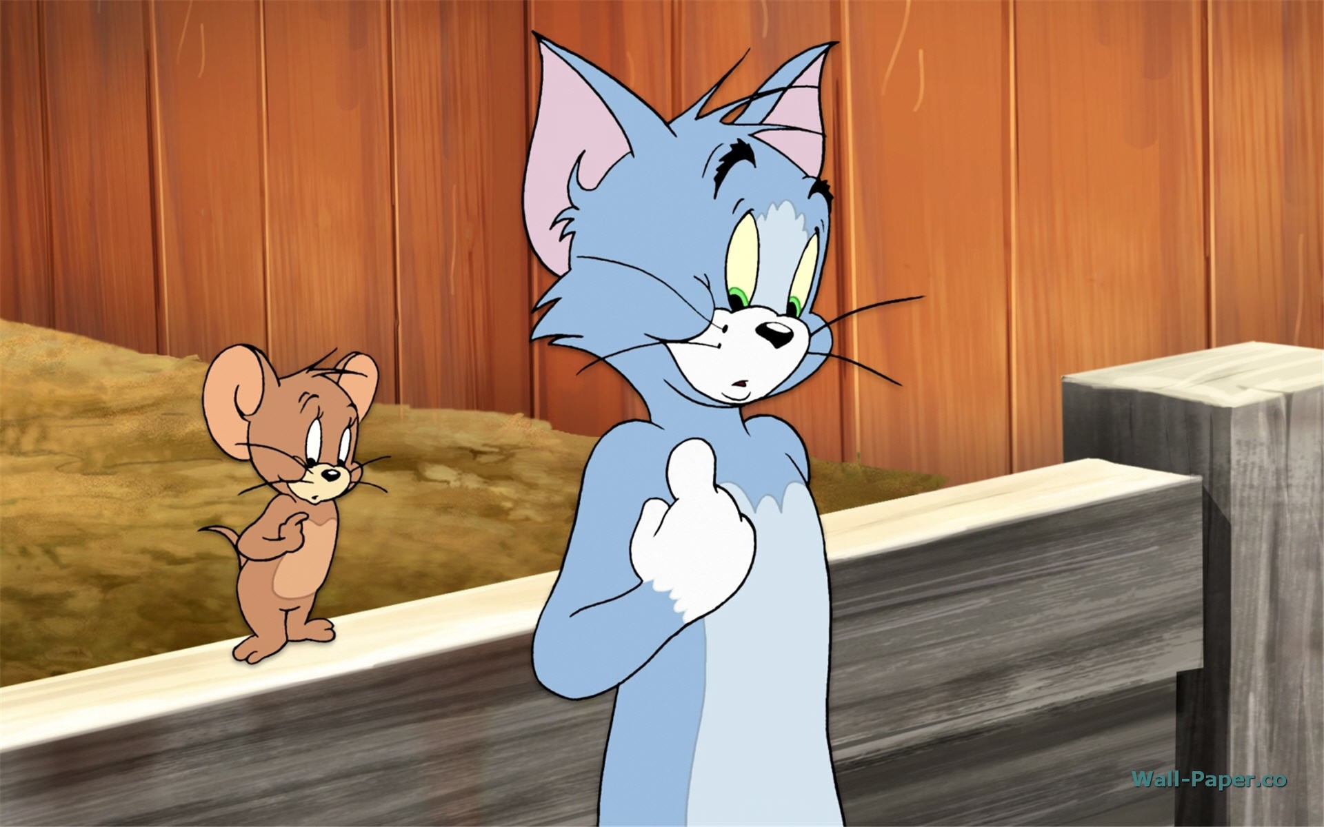 Tom And Jerry Wallpaper Cartoon