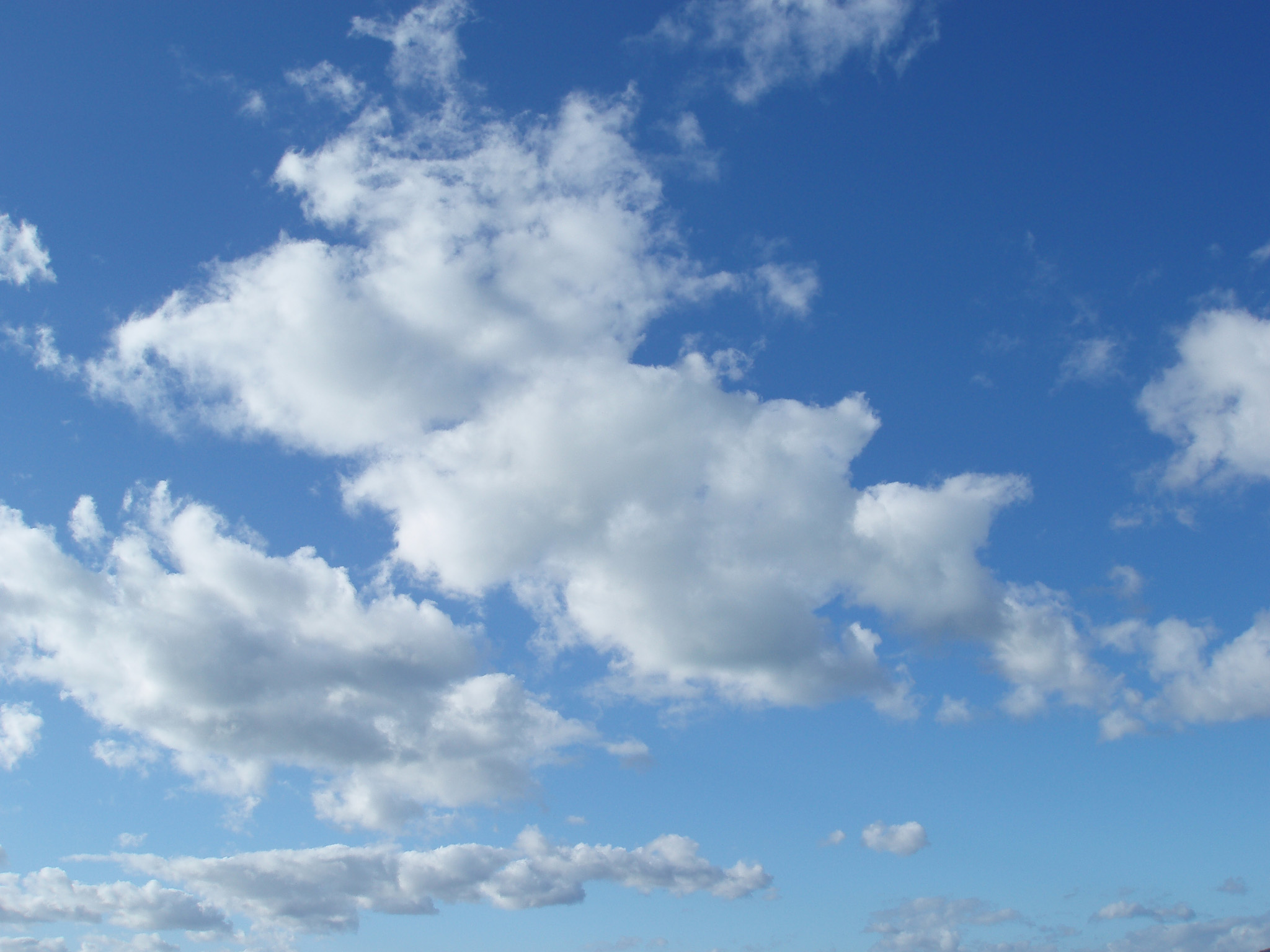 These Days The Cloud And Computing Are Among Most Widely
