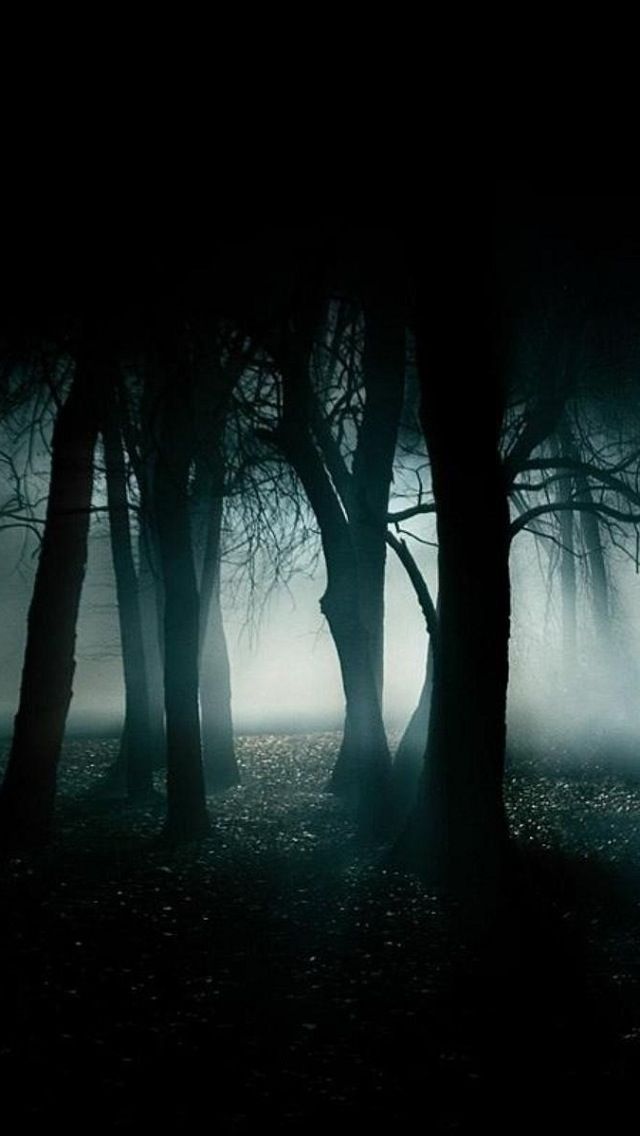 Search Best Dark Forest iPhone Wallpaper Tags Trees