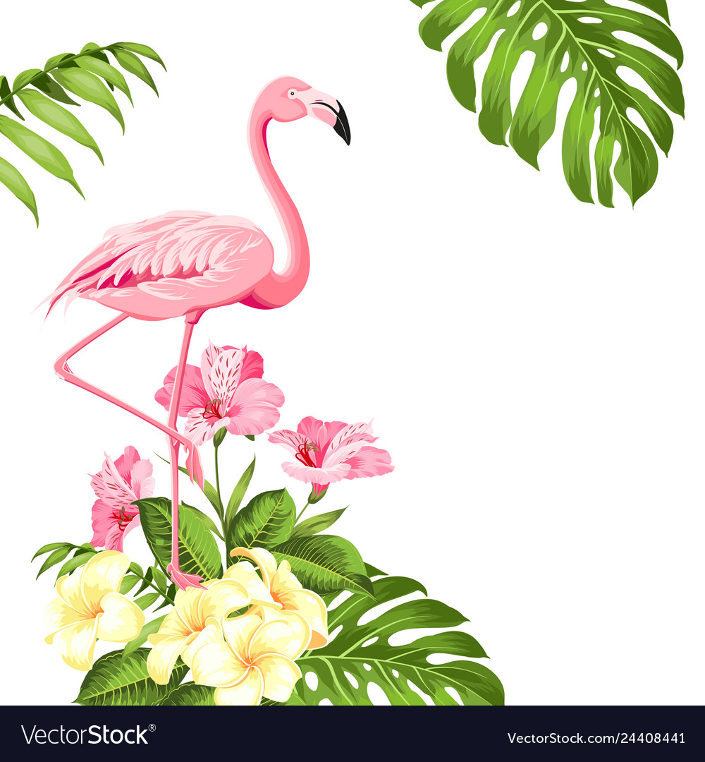 Flamingo Background Design Tropical Flowers Vector Image