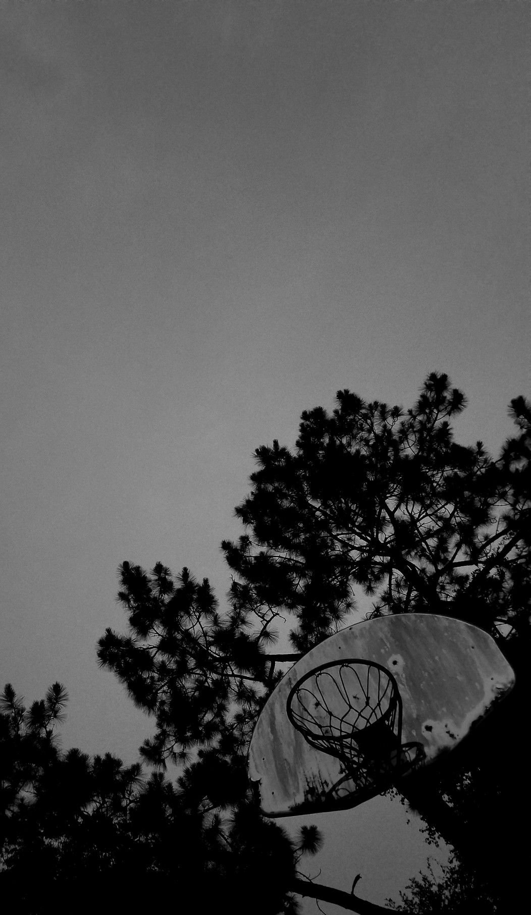 22+] Basketball Black and White Wallpapers - WallpaperSafari