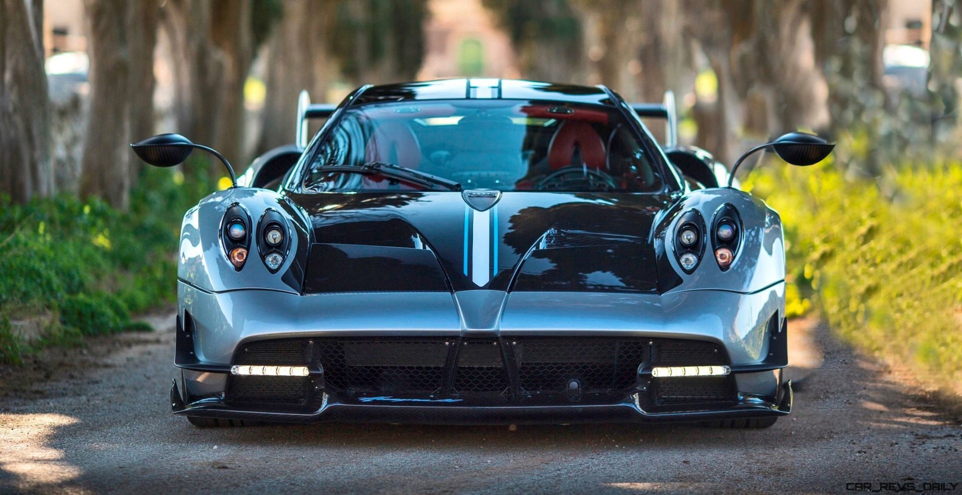A silver and black Pagani Huayra BC Roadster parked on a tree-lined road