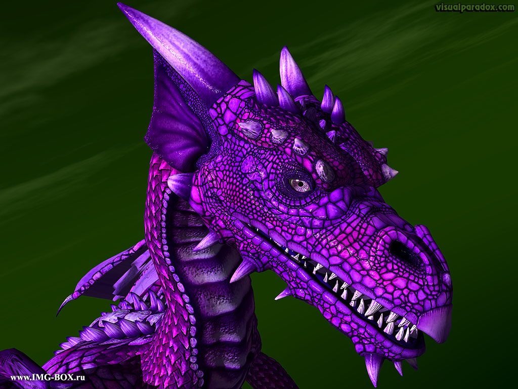 Purple Dragon Best Wallpaper On Your Desktop Fantasy