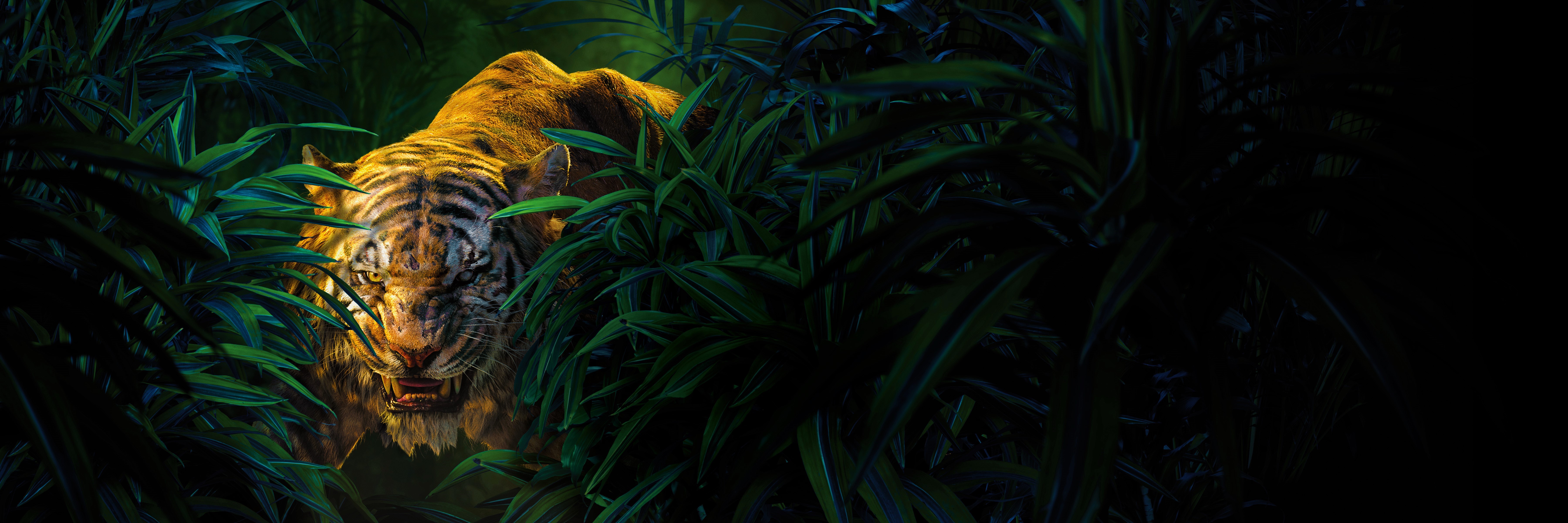 The Jungle Book HD Wallpaper And Background