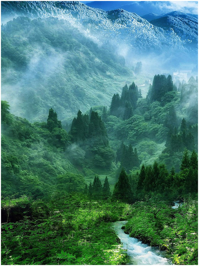 Best Nature Wallpaper Background Photos On The App Store