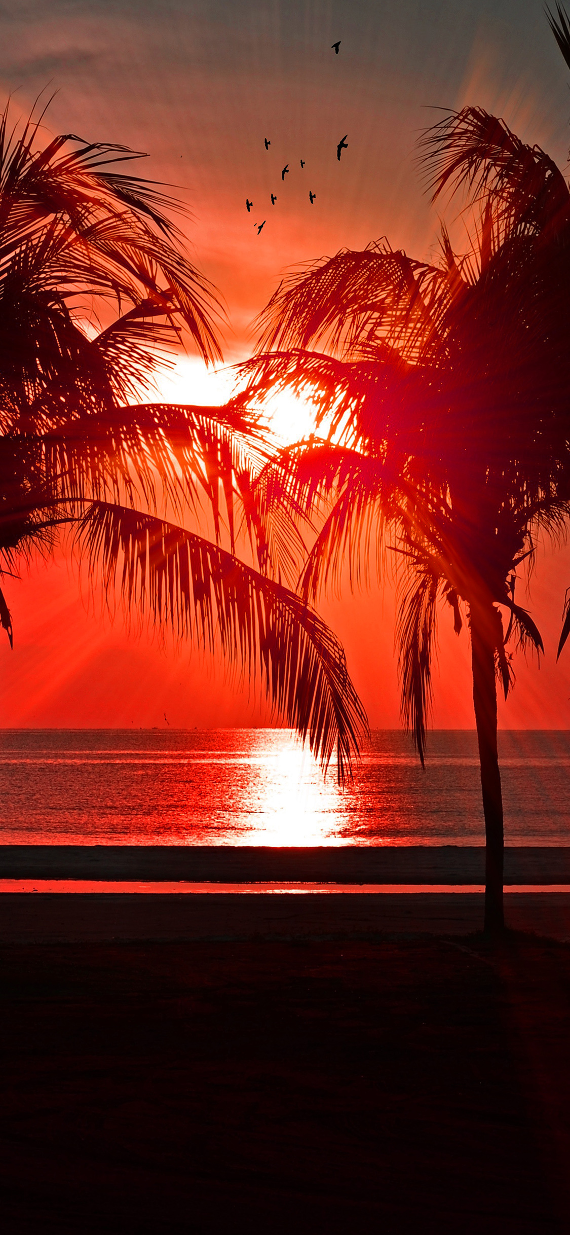 Vacation Wallpaper On