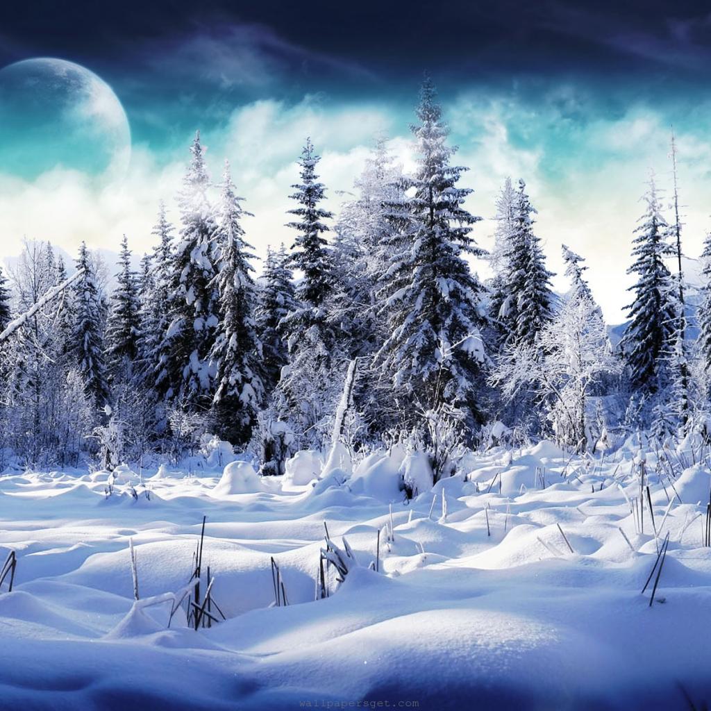 Ipad Wallpaper Christmas Winter For