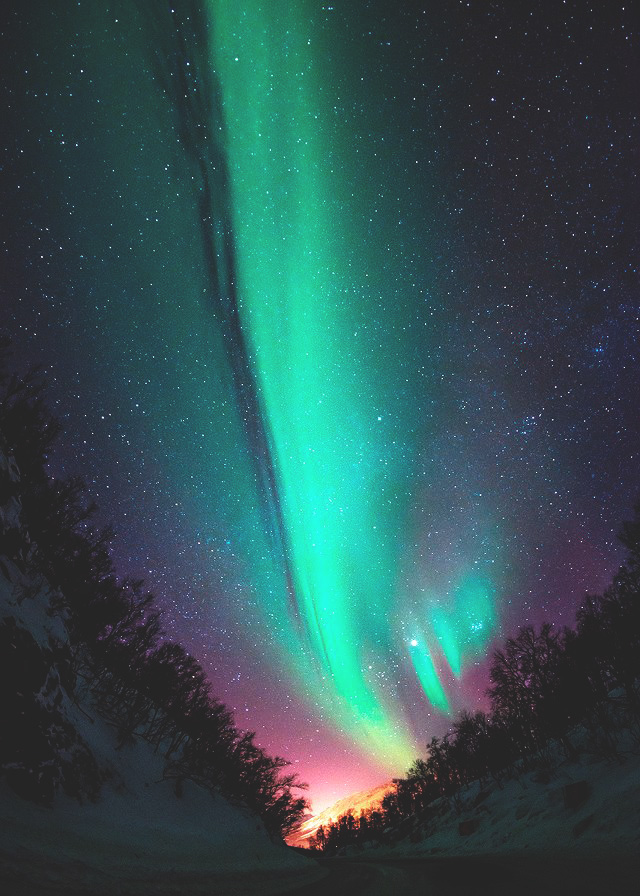 Aurora Borealis iPhone Wallpaper