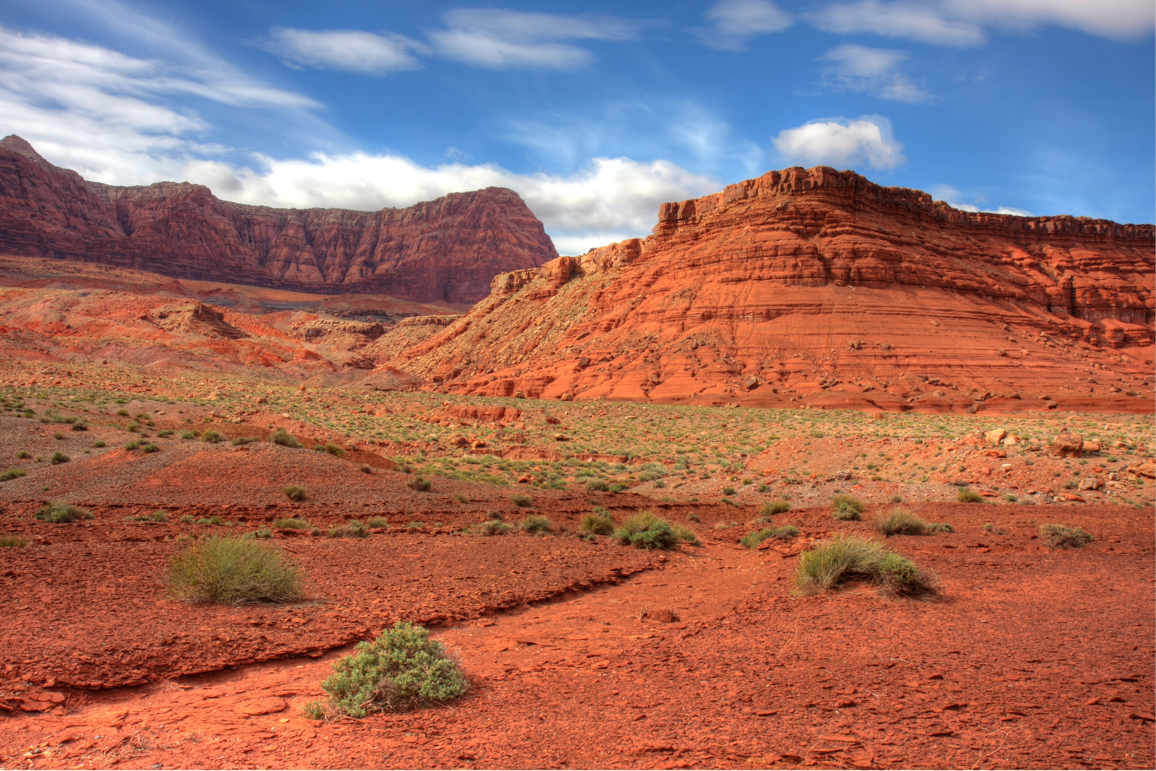 image Arizona Desert Scene PC Android iPhone and iPad Wallpapers 3888x2592