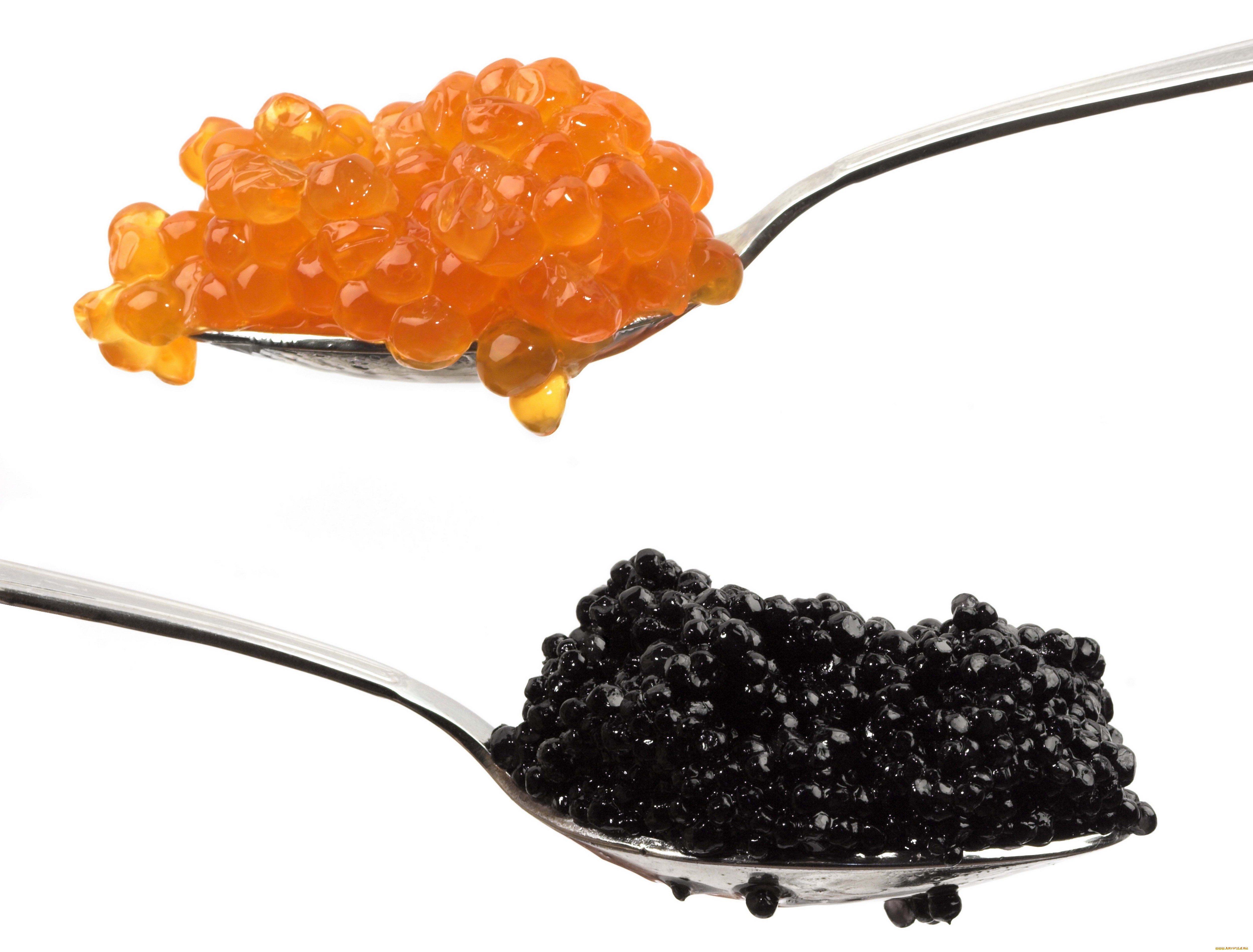 Caviar HD Wallpaper Background Image