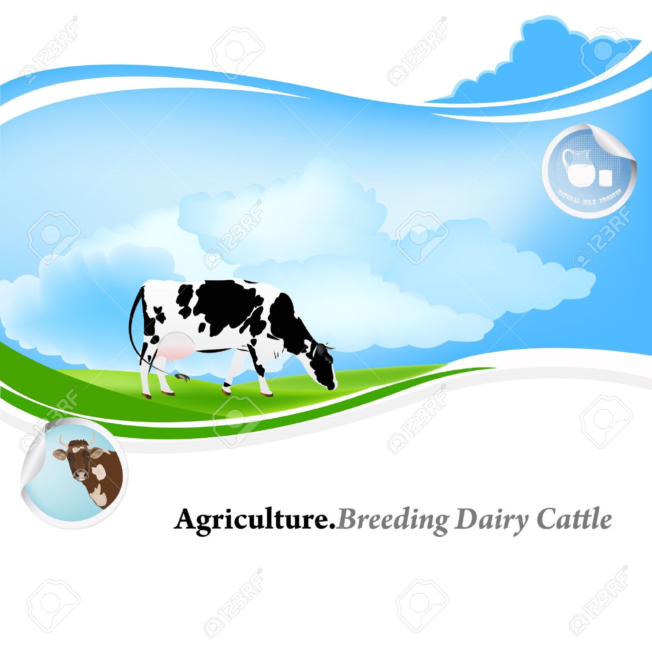 Agriculture Breeding Dairy Cattle Background Royalty Cliparts