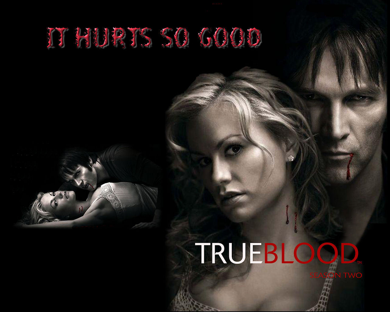 True Blood Wallpaper 1280x1024 Wallpapers 1280x1024 Wallpapers