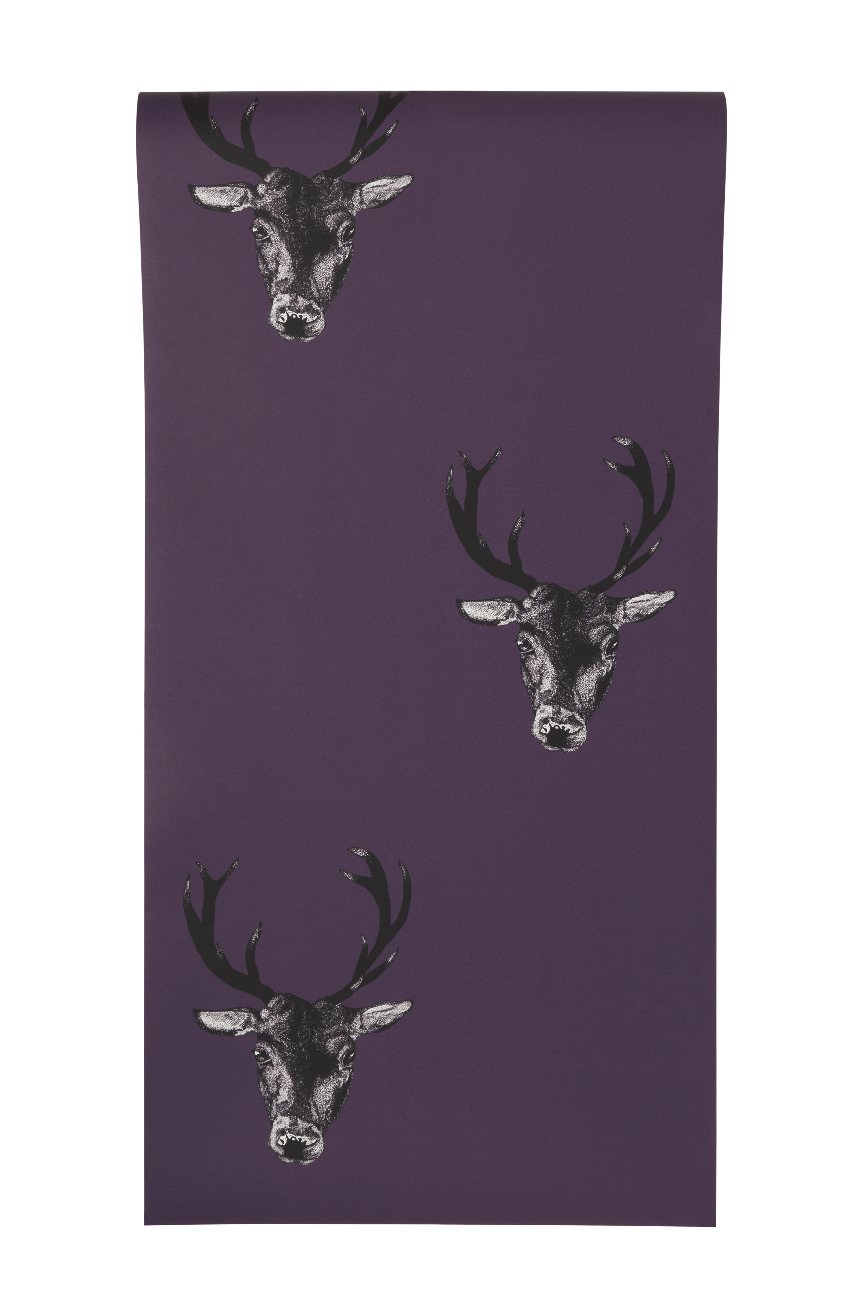 Stag Head Repeat Plum Wallpaper From Graduate Collection