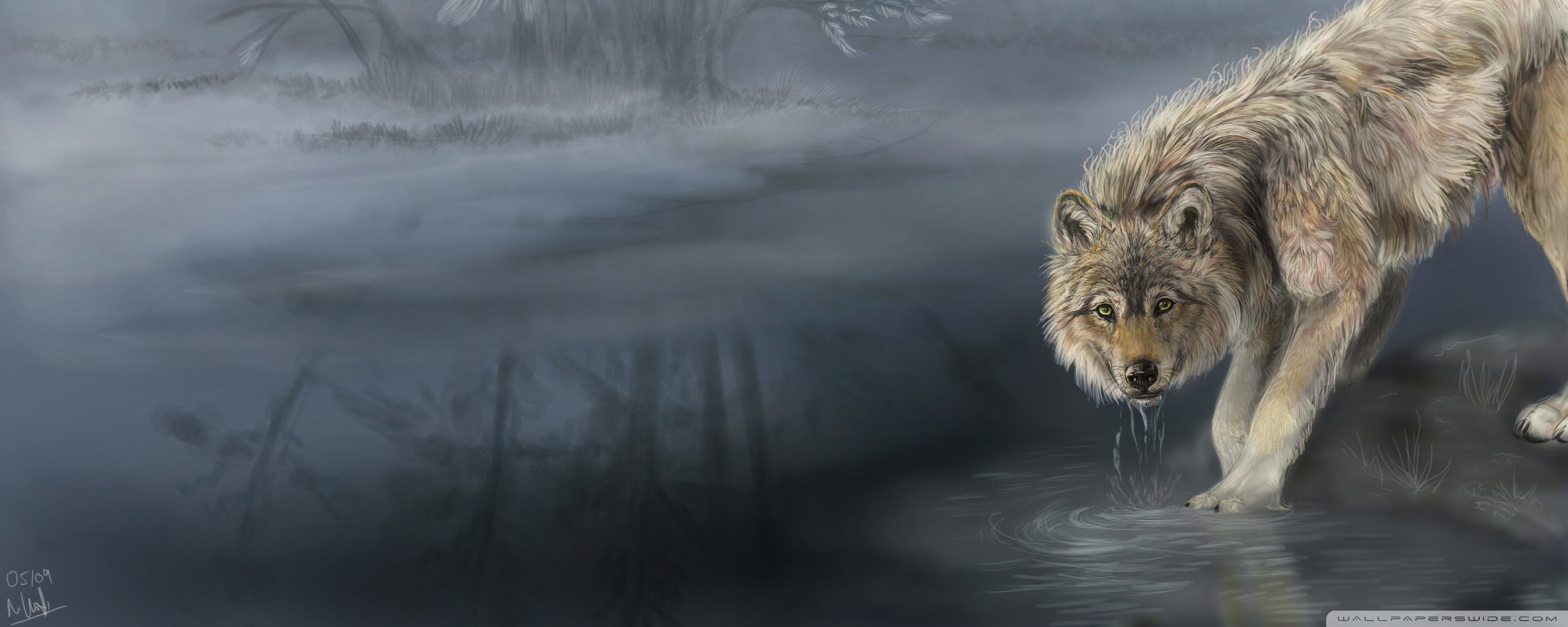 Wolf Drinking Water Painting Ultra HD Desktop Background Wallpaper