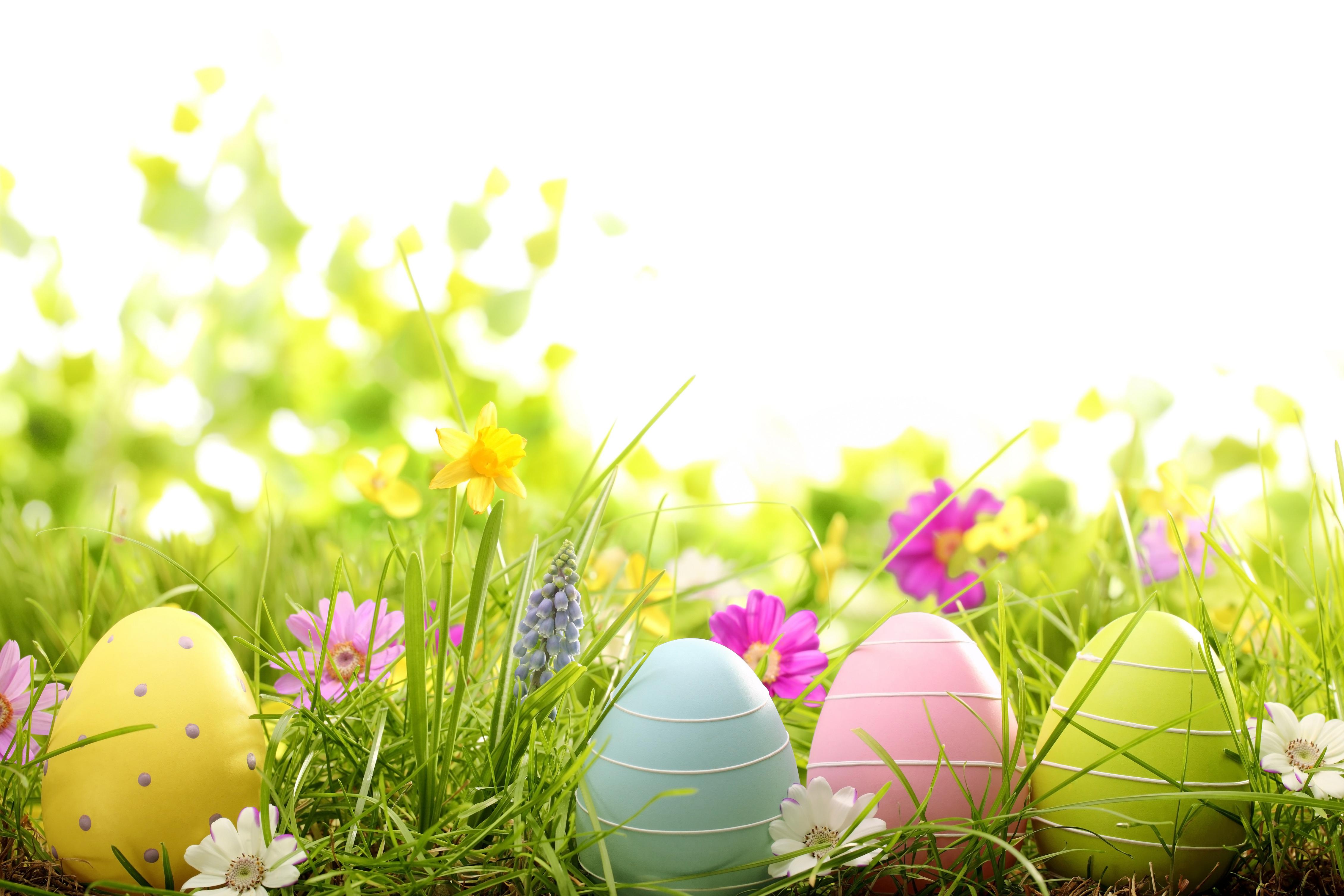 Gallery For Gt Pastel Easter Eggs Background