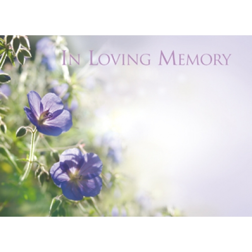  Cards In Loving Memory Flower Purple Background Pack of 6
