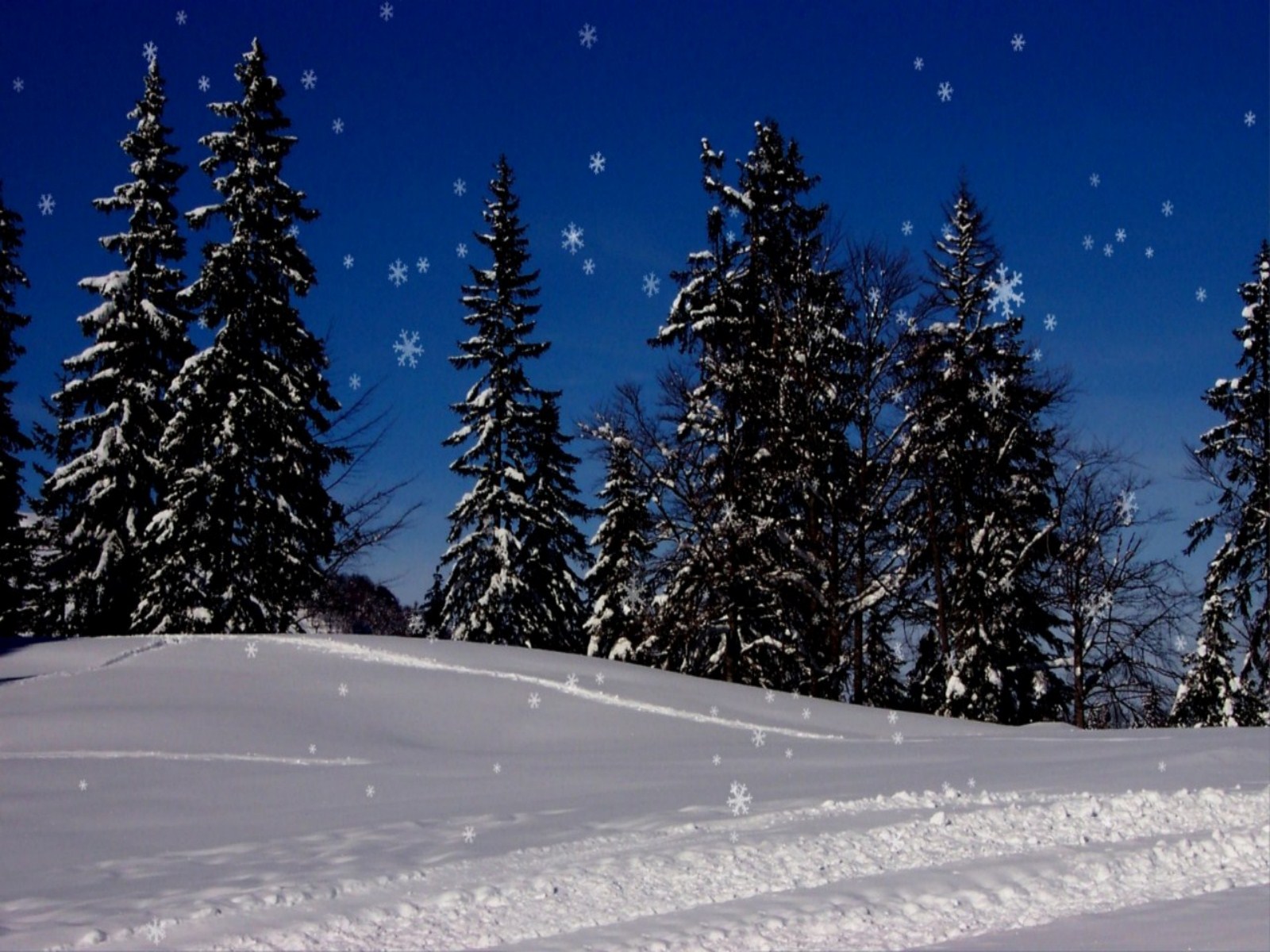 Falling Snow Wallpaper HD Christmas