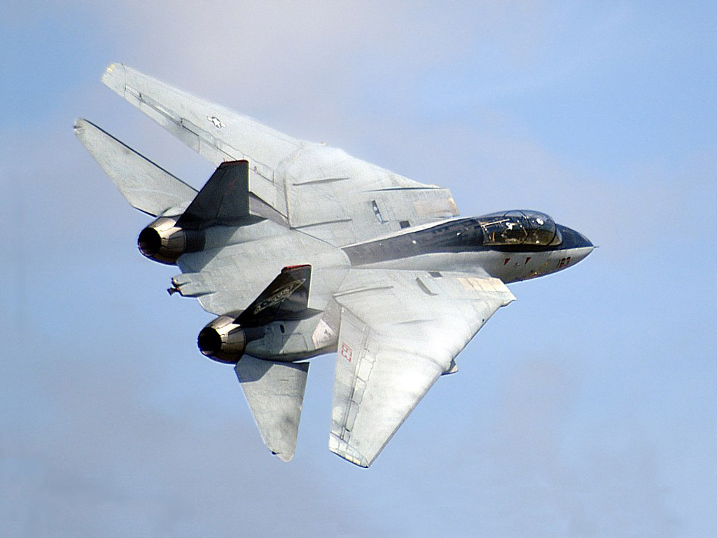 14 Tomcat Wallpapers Full HD Pictures