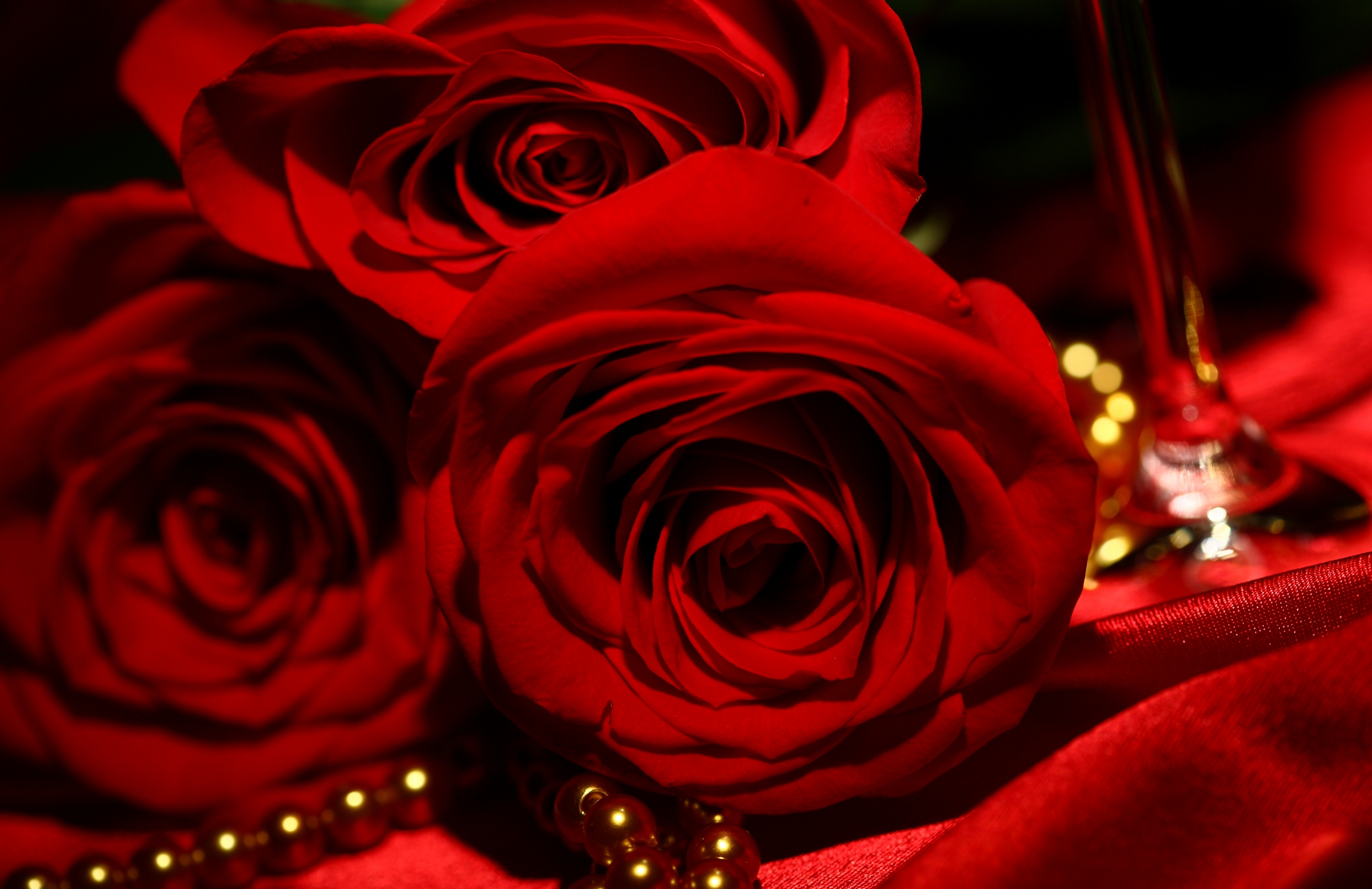 Red Roses Background Wallpaper High Definition Quality