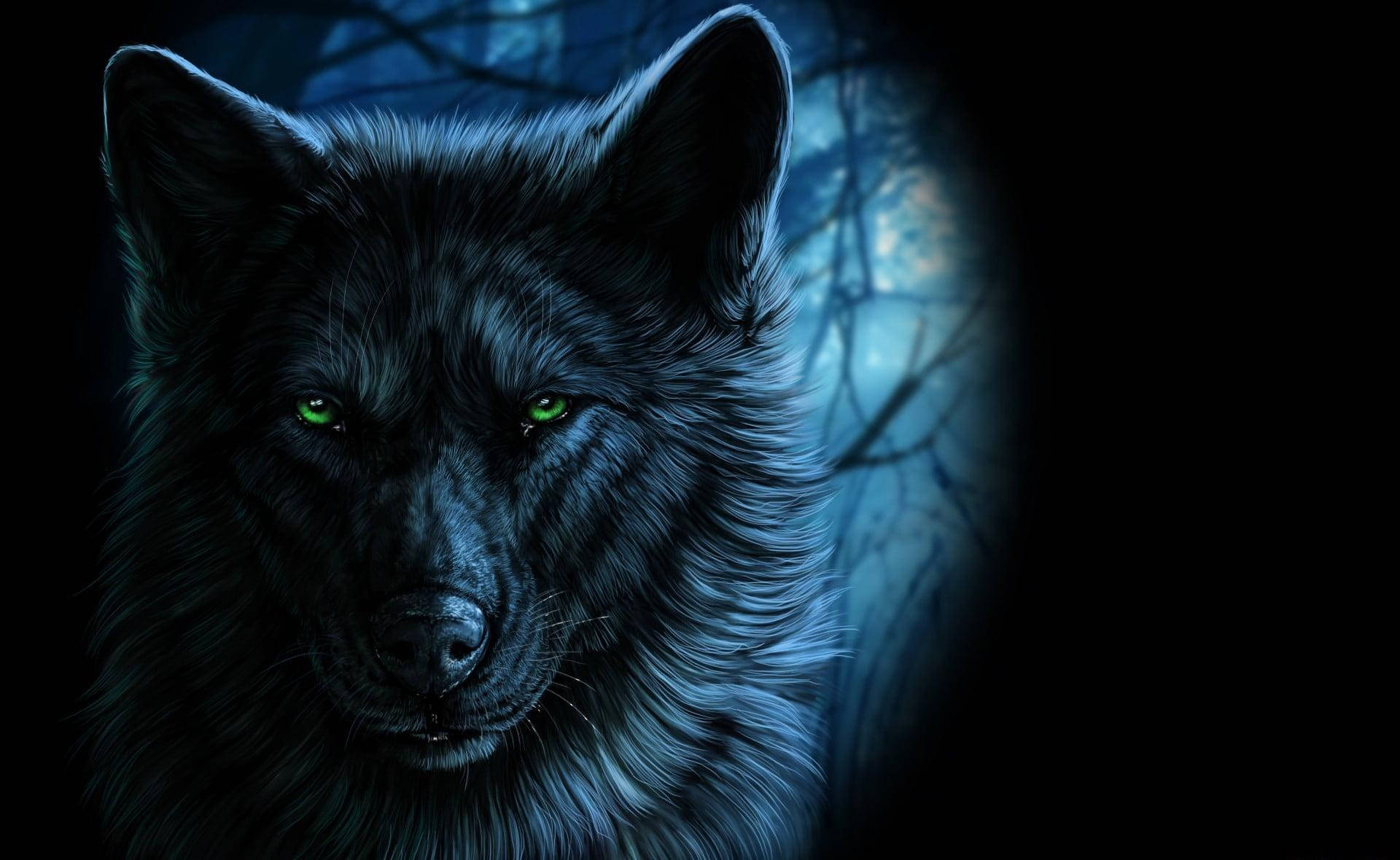 Top Cool Black Wolf Wallpaper Full HD 4k To Use