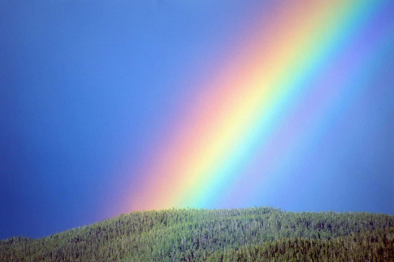 Rainbow Aesthetic Background Wallpaper