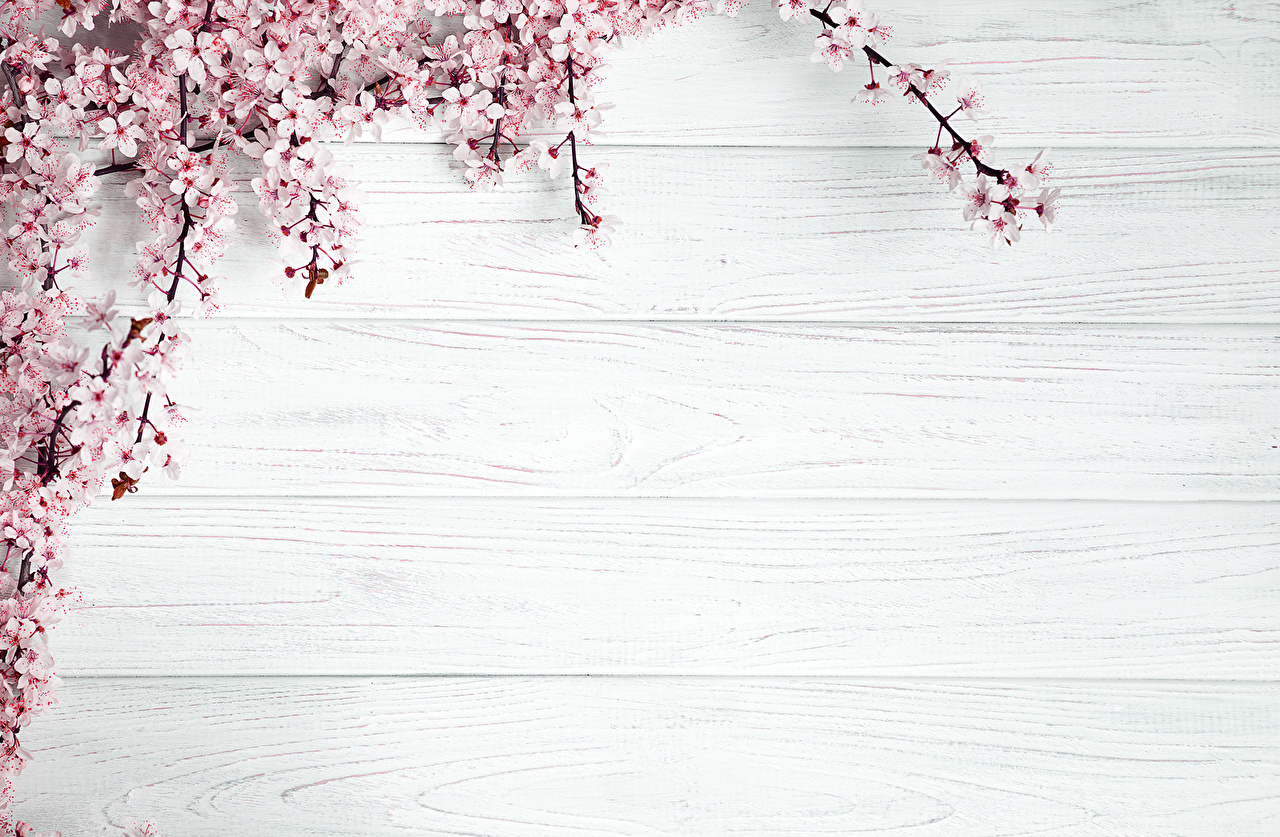 Desktop Wallpaper Flowers Template Greeting Card Flowering Trees