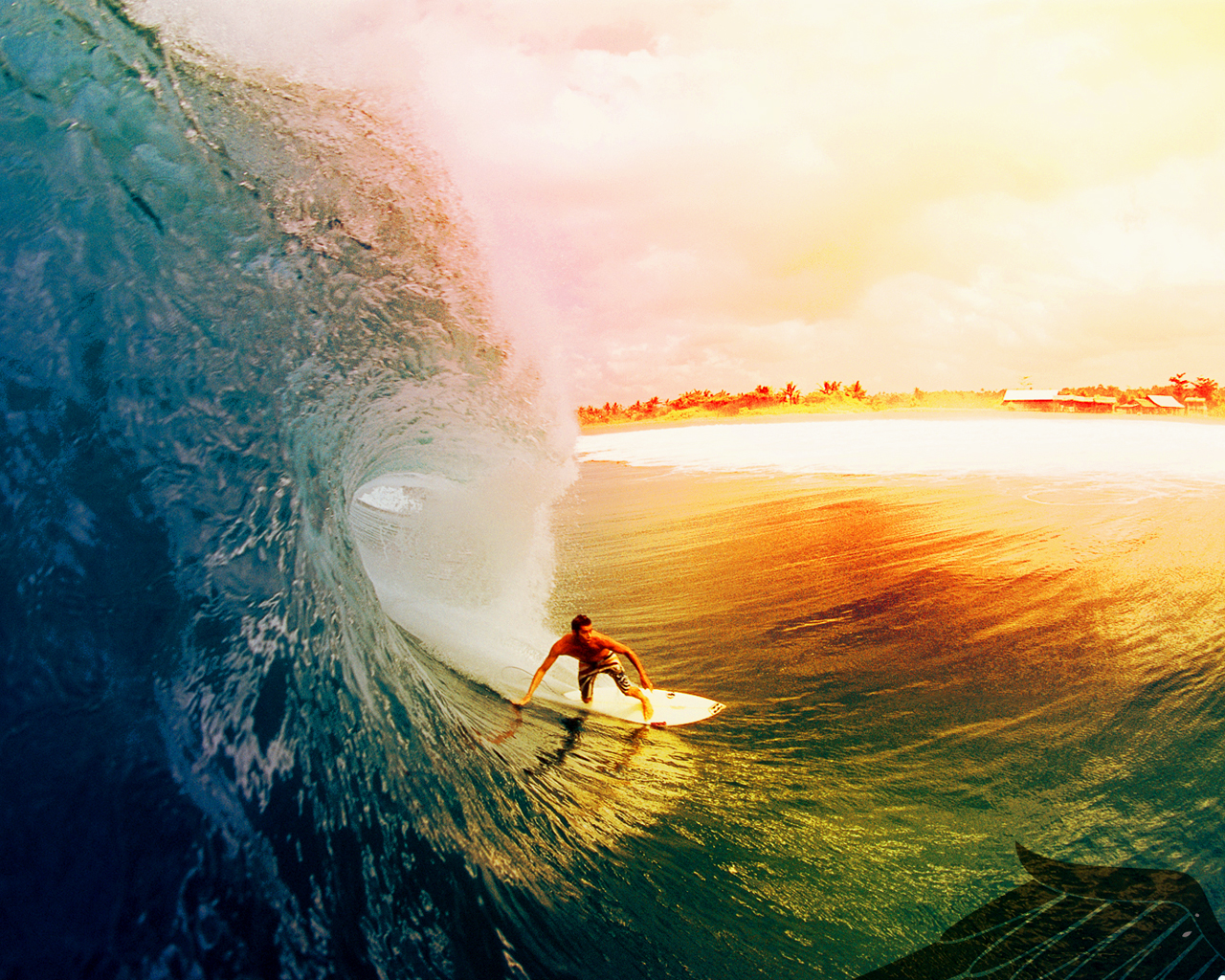 Wallpaper Wednesday  October 02  Surfs Up  We Travel and Blog