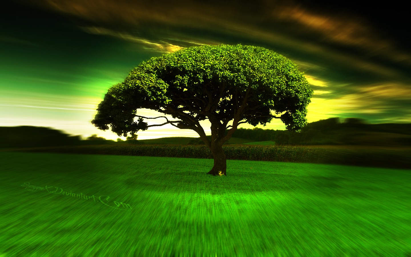 Cool Tree Desktop Background