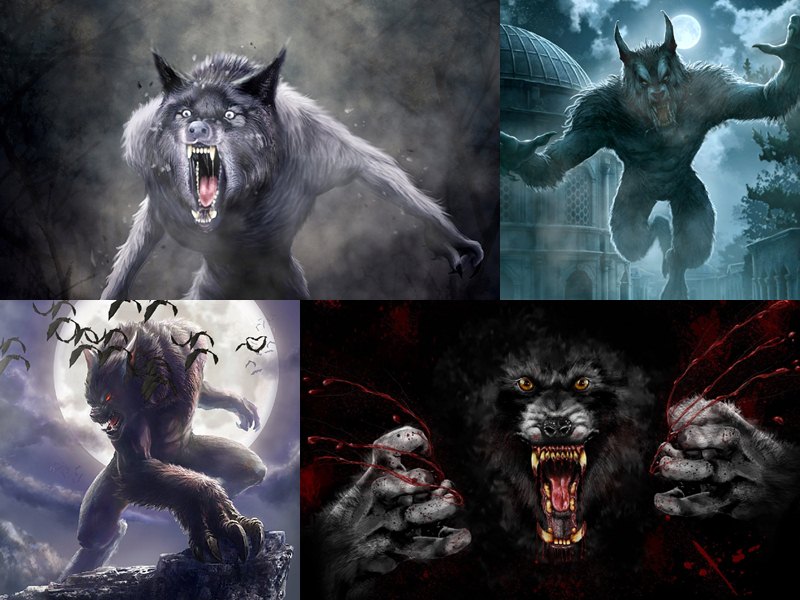 Werewolf Animated Wallpaper Desktopanimated