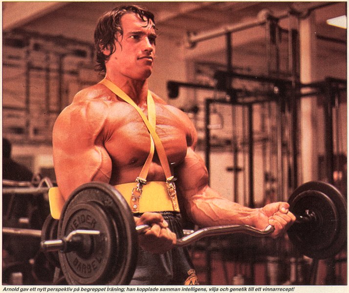 Arnold Bodybuilding